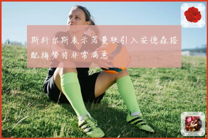 斯科尔斯表示若曼联引入安德森搭配梅努将非常满意